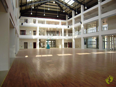 體育木地板 體育木地板