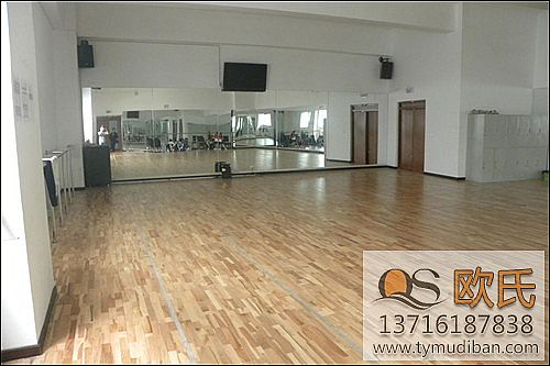 籃球?qū)嵞具\(yùn)動(dòng)地板,籃球運(yùn)動(dòng)地板,籃球?qū)嵞镜匕? alt=