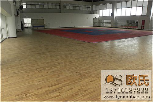 體育運動實木地板,體育實木地板,體育運動地板 體育運動實木地板,體育實木地板,體育運動地板