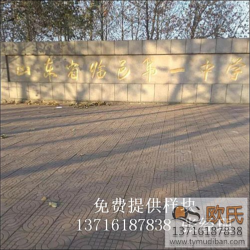 �w�����^�@���\��ľ�ذ尸��-ɽ�|�����R����Ҫ�ЌW(xu��)�w�����^