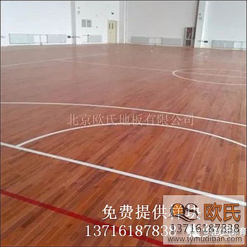 �w���^�\�ӻ@��ľ�ذ尸��-���Cʡ��������ЌW(xu��)�w���^