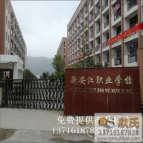 �㽭���ݽ������I(y��)���g(sh��)�W(xu��)У�@���w����(ch��ng)�^�\(y��n)��(d��ng)ľ�ذ尸��