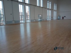 �ИI(y��)�\���͵ذ�S�҈�r