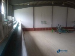 ������ľ���_(t��i)�\(y��n)��(d��ng)�w��ľ�ذ��Ă�(g��)�����^�h(hu��n)��