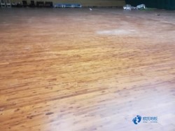 楓木籃球木地板價格表