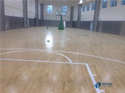 籃球木地板檢測報告