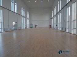 專業籃球場館木地板施工團隊